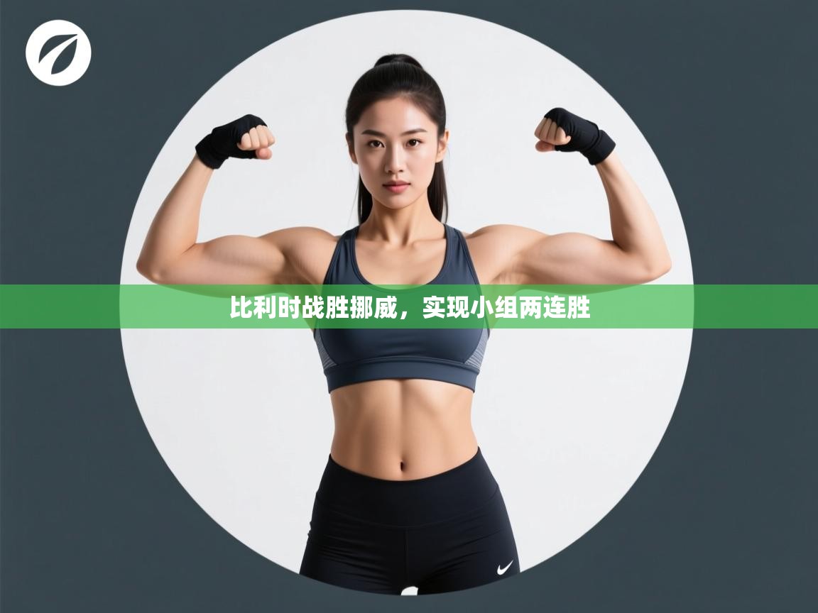 比利时战胜挪威，实现小组两连胜  第2张