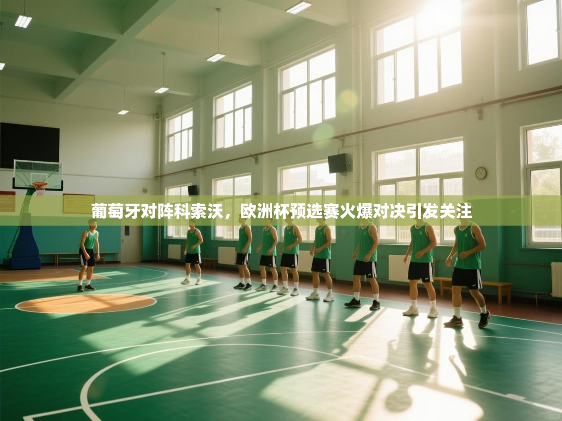 葡萄牙对阵科索沃，欧洲杯预选赛火爆对决引发关注  第1张