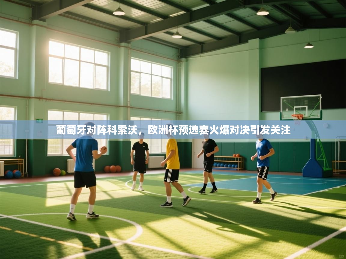 葡萄牙对阵科索沃，欧洲杯预选赛火爆对决引发关注  第2张