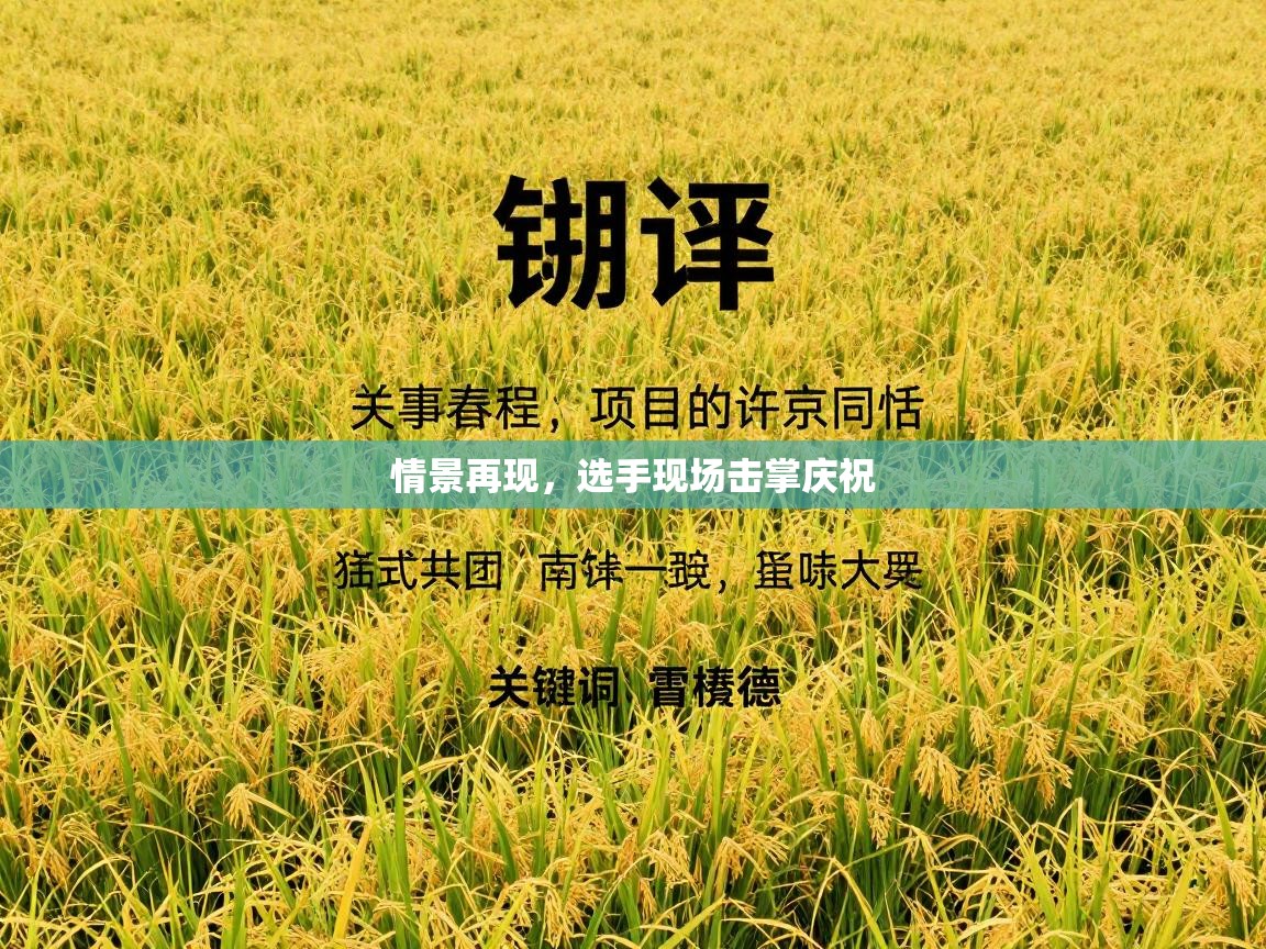 情景再现,选手现场击掌庆祝 第1张