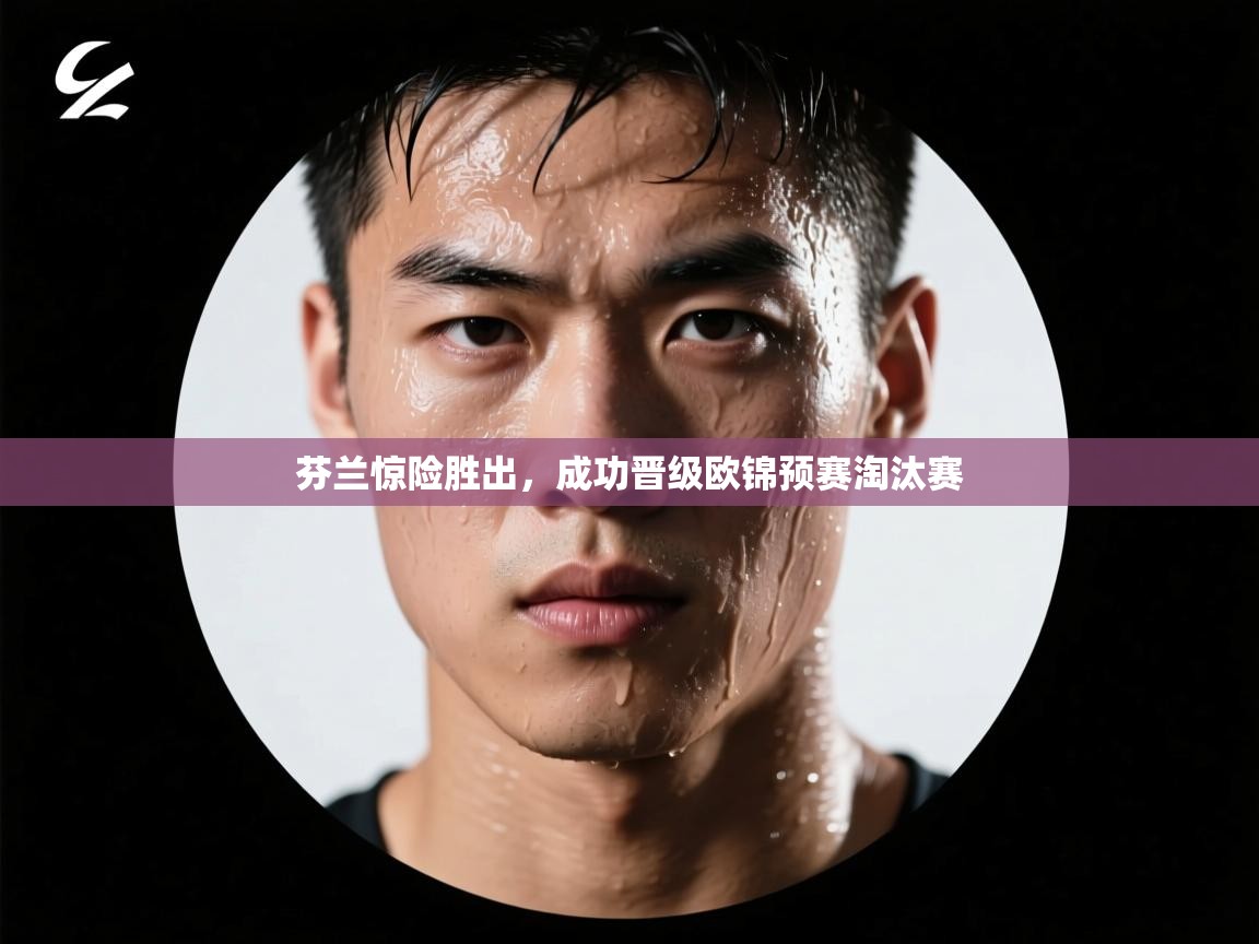 芬兰惊险胜出，成功晋级欧锦预赛淘汰赛  第2张