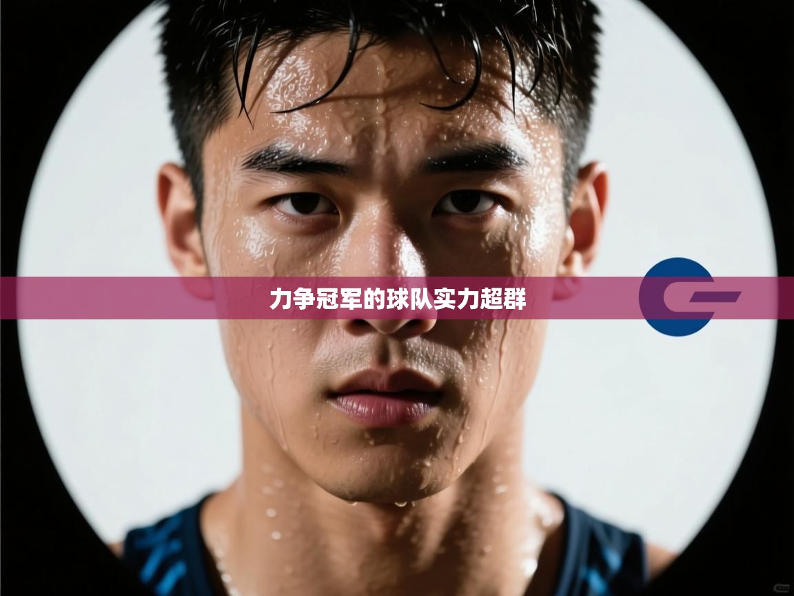力争冠军的球队实力超群  第2张