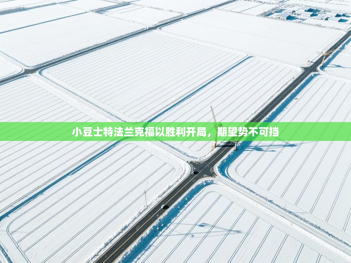 小豆士特法兰克福以胜利开局,期望势不可挡 第1张