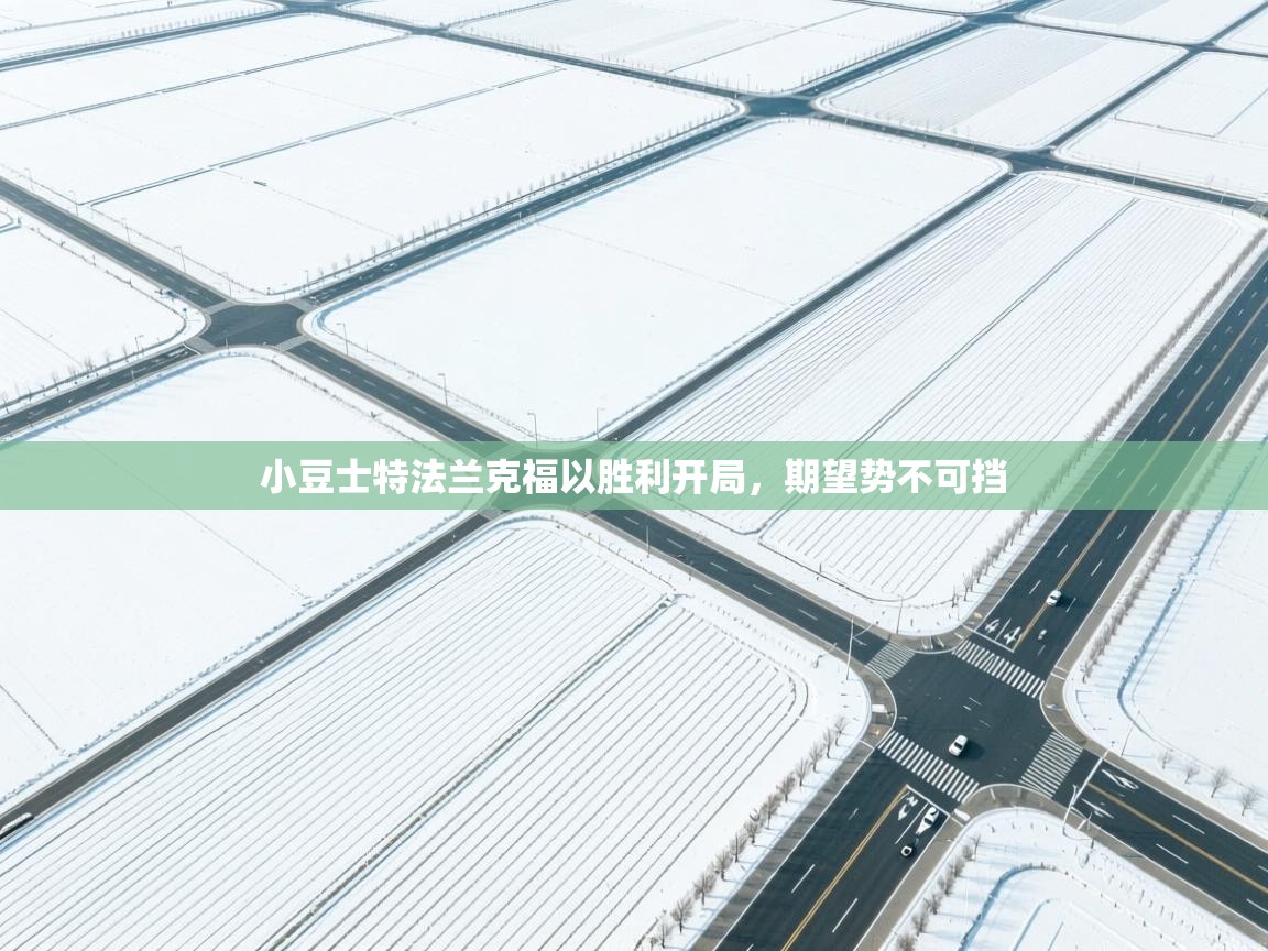 小豆士特法兰克福以胜利开局,期望势不可挡 第2张