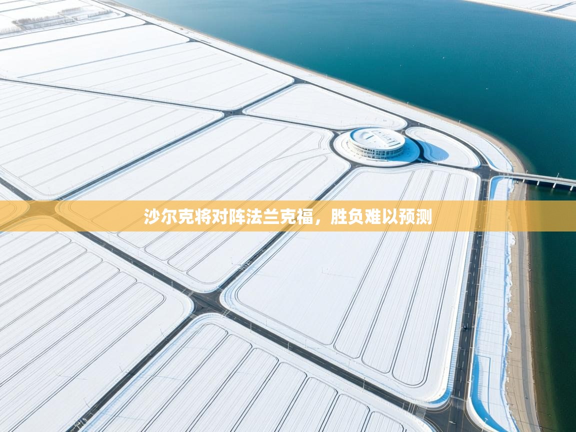 沙尔克将对阵法兰克福,胜负难以预测 第1张