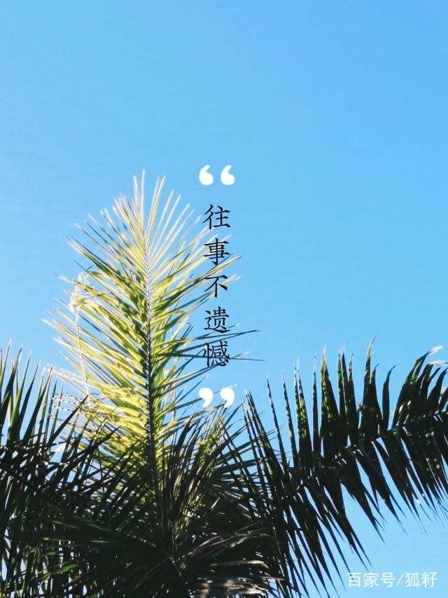 埃兹斯堡主场遭受逆转，遗憾失去三分机会
